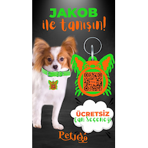 Petjoo 8.Jakob Turuncu-Yeşil Qr'lı Köpek Künyesi