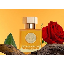 Nectar Olfactif Ambre Cristal 100 Ml Edp