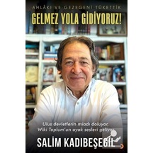 Gelmez Yola Gidiyoruz / Salim Kadıbeşegil