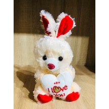 Peluş Tavşan Seni Seviyorum Yazılı I Love You Karışık