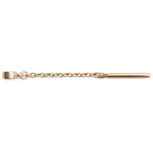 Daniel Wellington Dw00401484 Kadın Küpe Diğer