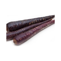 Mor Havuç Tohumu - 5 Gram