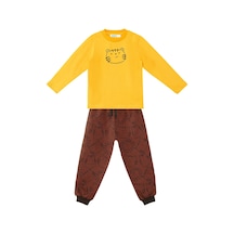Denokids Sevimli Kedi Erkek Bebek T-shirt Pantolon Takım Kahverengi - Sarı