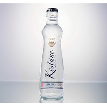 Kestane Su Cam 24 x 330 ML