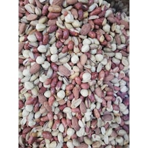 500 G