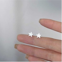 Flybuy Kadın Küpe 993 Ayar Gümüş Kaplama Platin Takı Küçük Boy Gümüş 69 Gümüş