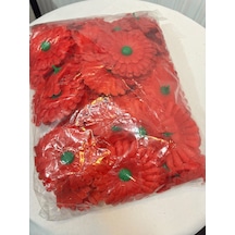 Kırmızı Gerbera Çiçekleri 75 Adet