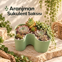 Aranjman Sukulent Saksısı - Modern Tasarımlı Bitki Saksısı