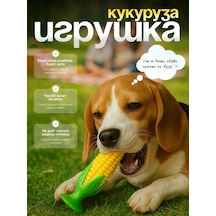 Köpek Oyuncağı - Mısır 455264627