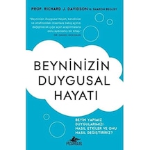 Beyninizin Duygusal Hayatı: Beyin Yapımız Duygularımızı Nasıl Etkiler Ve Onu Nasıl Değiştiririz