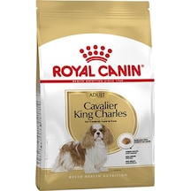 Royal Canin Cavalier King Charles 27 Yetişkin Köpek Maması 1500 G