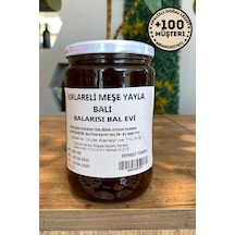Kırklareli Doğal Meşe Balı 850 Gr Katkısız