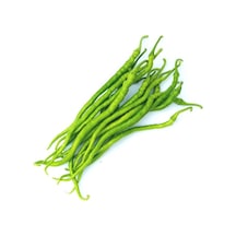 Burkalem Biber Tohumu Tatlı Burkalem Biber Tohumu Ekim Seti 25 Adet Tohum + Saksı+toprak