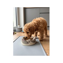 Tavşancık Mama Kabı Seramik - Küçük Irk Köpek Ve Kedi