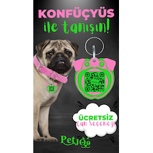 Petjoo 9.Konfüçyüs Yeşil-Pembe Qr'lı Köpek Künyesi