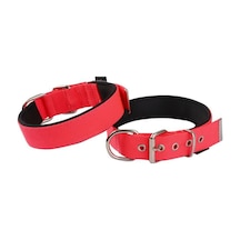 Actirex Neon Yumuşak Doku Köpek Boyun Tasma Red M 58 CM