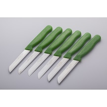 Solingen SİMLİ-TTL Tırtıklı Meyve-Sebze Bıçağı 1.Kalite 6 Adet Açık Yeşil