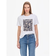 Pierre Cardin Kadın Beyaz Tişört 50323558-vr013 Beyaz