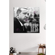 Çok Renkli