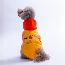 Turuncu Vermont Autumn Köpek Hoodie Köpek Sweat Köpek Kıyafeti Kedi Kıyafeti