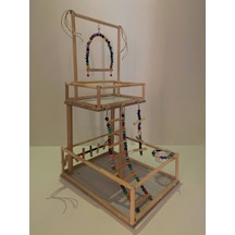 Paks Pet Kuş Oyun Parkı No:11