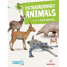Extraordinary Animals - Intermediate - Level 3 B1 - Sarah Sweeney - Redhouse Kidz Yayınları