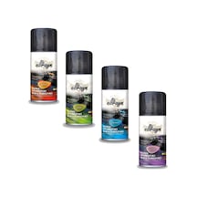 Araç Klima Ve Hava Temizleyici 150 Ml Ebrayn 4 Adet