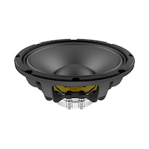 Lavoce Wan103.01 10" 450w 8 Ohm Neodmiyum Hoparlör