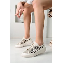Leopar