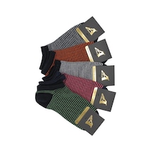 5'Li Paket Lacivert Üzeri Renkli Çizgili Kadın Patik Çorap Lacivert