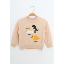 Toontoy Kids Toontoy Erkek Çocuk Relax Fit Bisiklet Yaka Hafif Düşük Omuz Nakışlı Sweatshirt Bej