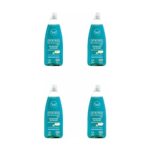 Viking Premium Bulaşık Deterjanı Fesleğen & Limon 4 x 750 ML
