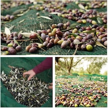 4x4 Metre Zeytin Sergisi Zeytin Toplama Filesi Fındık Fıstık Örtüsü %75 Gölgelik Dut Meyve Sergisi Taban Örtüsü