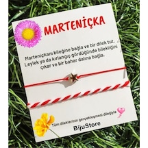 Bijustore Marteniçka Gold Renk Yıldız Kadın & Erkek Ikili Dilek & Şans Bileklik Çok Renkli