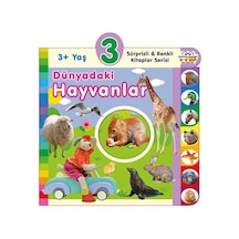 Dünyadaki Hayvanlar 3+yaş - Qhdh-826405
