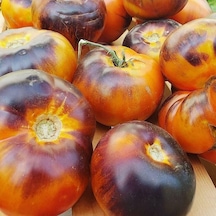 Lucid Gem Domates Tohumu 15 Tohum 1 Paket