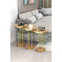 Zigon Sehpa Terra Gold Ceviz Diğer