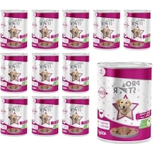 Yetişkin Köpekler İçin Biftekli Yaş Mama 400 Gr X 12 Adet