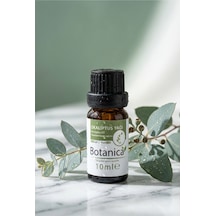 10 ML