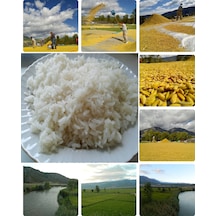 Meşhur Kargı Pirinci 50 KG