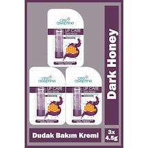 Cire Aseptine Lip Care Dark Honey Renkli Dudak Bakım Kremi 4,5 Gr 3 Adet