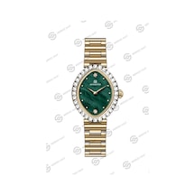 Momentus Women's Shiny Ss401g-15sg Çok Renkli