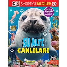 3d Şaşırtıcı Bilgiler - Su Altı Canlıları
