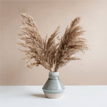 Dekoratif Pampas 7'li Kuru Çiçek Nocolor-1474d95e