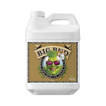 Advanced Nutrients Big Bud Coco 250  ml