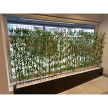 320 Cm Saksıda 170 Cm Bambu Sperator Yeşil