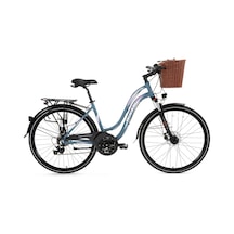 Bisan Ctx 6300 Şehir Bisikleti 46 Cm Disk Fren 28 Jant 21 Vites Gri Pembe Gri