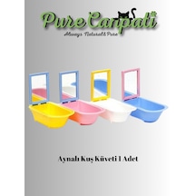 Purecanpati Aynalı Kuvet 1 Adet