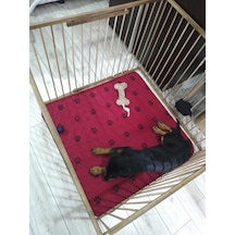 AHŞAP KÖPEK ÇİTİ YÜKSEKLİK 70 CM