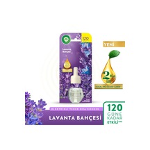 Lavanta Bahçesi